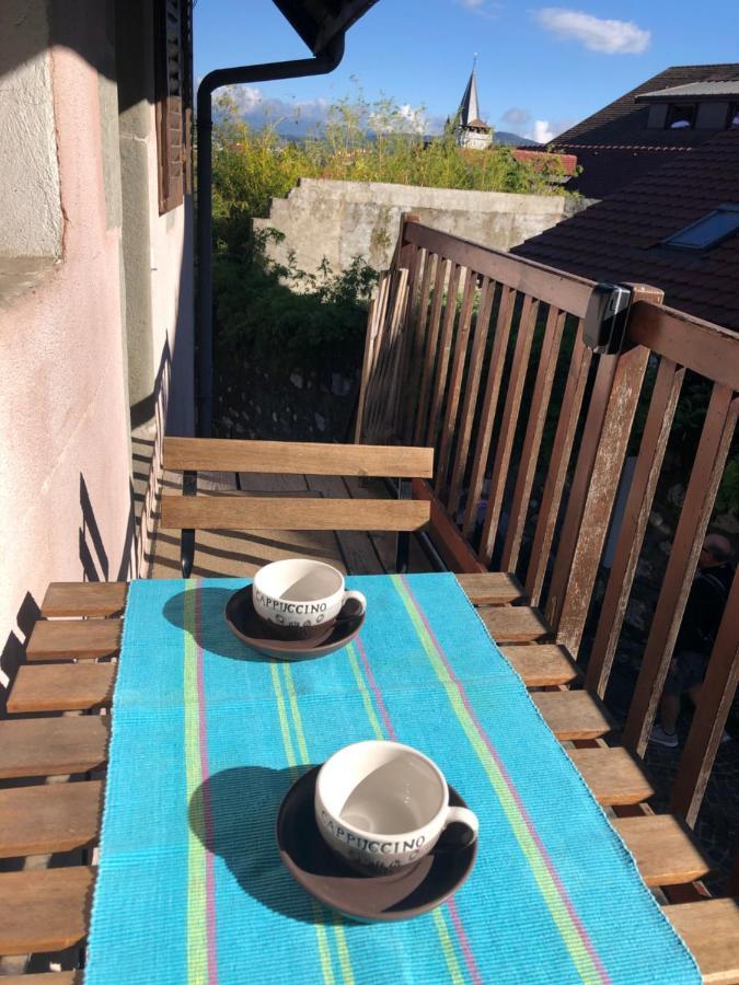 Appartement dans la vieille ville, en face du château Annecy Extérieur photo